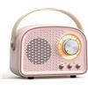 HpLive Altoparlante senza fili portatile dell'altoparlante di BT, altoparlante domestico astuto portatile con radio FM (rosa)
