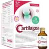 SALUGEA (RELOAD Srl) CARTILAGEA SALUGEA 18 FLACONCINI DA 12 ML