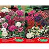 Germisem Bartnelken Semi 1 g & Compact Mix Semi di Petunia 0.2 g