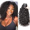 RICHAIR Curly Wave Bundles Human Hair Brazilian Virgin Human Hair 80 Gram/Bundle (16-18-20, Natural Color)