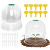 LATERN 6Pz Cloche per Piante da Giardino, 26CM x 20CM Copertura della Campana della Cupola della Pianta Mini Serra in Plastica Riutilizzabile Con 10 Etichette per Piante, 18 Picchetti di Fissaggio
