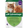Bayer ADVANTAGE SPOT ON 80 per gatti e conigli oltre 4 kg