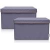 LIFENEY Set di 2 contenitori per bambini (37 x 25 x 21 cm), cestino portaoggetti per cameretta dei bambini (antracite)