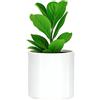Fox & Fern Vasi da Esterno, Vasi per Piante da Esterno e Interno, Resistenti a Raggi UV e al Gelo, Vaso Grande da Interno con Tappo di Scarico, Fioriera da Esterno in Fiberstone, Vaso Singolo