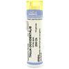 cemon Thuya occident 200ch gr