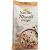 sarchio Muesli energy 250 g