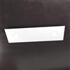 TopLight ECCENTRIC APPLIQUE-PLAFONIERA 2 LUCI + 1 DECORATIVO BIANCO 1156-2L1D-BI