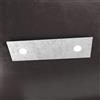 TopLight ECCENTRIC APPLIQUE-PLAFONIERA 2 LUCI + 1 DECORATIVO FOGLIA ARGENTO 1156-2L1D-FA