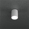 TopLight CLOUD PLAFONIERA TUBO H.10 1 LUCE GRIGIO 1128-PL10-GR