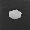 TopLight HEXAGON APPLIQUE-PLAFONIERA DECORATIVO FOGLIA ARGENTO 1142-1D-FA
