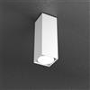 TopLight PLATE PLAFONIERA TUBO H.25 1 LUCE BIANCO 1129-PL25-BI