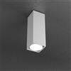 TopLight PLATE PLAFONIERA TUBO H.25 1 LUCE GRIGIO 1129-PL25-GR