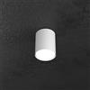 TopLight SHAPE PLAFONIERA TUBO H.10 1 LUCE BIANCO 1143-PL10-BI