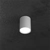 TopLight SHAPE PLAFONIERA TUBO H.10 1 LUCE GRIGIO 1143-PL10-GR