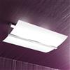 TopLight WOOD PLAFONIERA CM.50 2 LUCI FOGLIA ARGENTO 1019-PL50-FA