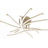 TopLight TORNADO PLAFONIERA GRANDE GOLD 1163-PLG-GO