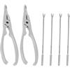 HEMOTON Kit Per Chele Di Granchio in Acciaio Inossidabile Set Di Pinze Per Crostacei E Forchette Ergonomiche Per Frutti Di Mare Adatto a Granchi Aragoste E Noci Facile Da Usare E Portatile
