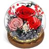 CSYY Rosa Eterna, Regalo per la Festa della Mamma Luci a LED Fiore Conservato Sfera di Cristallo Vetro Garofani Conservati Infinity Rose Fiore Luce Regali Eterni Donne Fidanzata Moglie Rosso