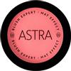 GIUFRA Srl ASTRA BLUSH EXPERT MAT EFFECT 05