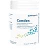 Metagenics Candex 90 Capsule