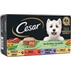 CESAR Pasto per cani - 24 vaschette da 150 g, 4 varietà, cibo umido realizzato con ingredienti naturali