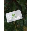 Albatros Bagnoschiuma & Shampoo Bustina 10ml Linea Cortesia Albatros BioEnergy 600 Pezzi