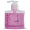 Sydex Sapone Mani con Dosatore 300ml Linea Cortesia Sydex Karisma 12 Pezzi