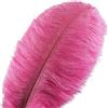 Crenze Creny 10 pezzi Piuma di struzzo 12-14pollici (30-35cm) per la decorazione domestica Wedding, festa, fai da te