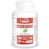 Supersmart - Berberine - Berberina (estratto di Berberis vulgaris standardizzato al 97% di berberina) - 100% Naturale - Integratore Antinfiammatorio e Antiossidante - 60 Capsule Vegetariane