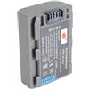 DSTE NP-FP50 Batteria di ricambio Compatibile per Sony DCR-HC23 DCR-HC24 DCR-HC26 DCR-HC27 DCR-HC28 DCR-HC30 DCR-HC32 DCR-HC32