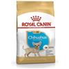 Royal Canin Chihuahua Puppy Cibo Secco Per Cani 0,5kg Royal Canin