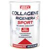 WHY SPORT COLLAGENE RIGENERA SPORT - Collagene Idrolizzato Puro e Naturale - Con Magnesio, Vitamina C, Boswellia e MSM - Integratori Alimentari - Integratore Articolare - Gusto Neutro - 336 gr