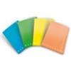 Pigna Cartella a 3 lembi con elastico Pigna Monocromo - A4 26x35,5x1,2 cm dorso 1,2 colori assortiti Fluo - 0227903 (Conf.6)