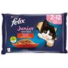 Purina FELIX Le GHIOTTONERIE Gatto Junior Con Manzo e Pollo 4x85 Gr