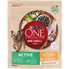 Purina ONE Mini Dog Active Pollo con Riso 800 Gr