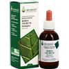 ARCANGEA RIBES Nigrum GD 100ml ACN