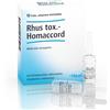 Guna Rhus Tox Homaccord 10 Fiale