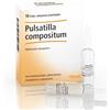 Guna Pulsatilla Compositum 10 Fiale