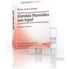 Guna Glandula Thyreoidea Suis-injeel 10 Fiale