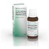 Guna Gelsemium Homaccord Gocce 30ml