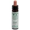 Ainsworths Larch 10Ml 10 ml Gocce orali