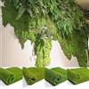 GREENLANS-1 GREENLANS Prato Inglese Pieghevole Pieghevole Muschio Falso Design Erba Artificiale ， 1x1m Simulazione Artificiale Muschio Erba Tappeto Erboso Casa Prato Giardino Arredamento Paesaggio Punto Giallo *