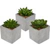 DRW Set 3 piante grasse artificiali con vaso 8 x 8 x 10 cm