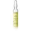 DR. GRANDEL GMBH DR GRANDEL CELL REPAIR 1 FIALA 3ML