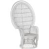 DT MB-170988 Poltrona, Rattan, Bianco, Estándar