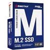 BIOSTAR SSD Biostar M760 512GB