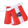AZ FLAG Ghirlanda 6 Metri 20 Bandiere Austria Con Aquila 21x15cm, Bandiera Austriaca Con Stemma 15 x 21 cm - Festone Bandierine
