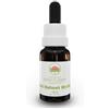 Green Remedies Australian Bush Flower Essences Red Helmet Orchid Gocce 15 Ml