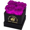 MestectPET Confezione Regalo con Rosa Eterna, 4 Rose Eterne Viola Fiore San Valentino Festa della Mamma Anniversario Regali di Compleanno Romantici per Moglie Sorella Mamma Donne
