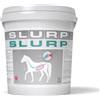 Slurp Polvere Acme 10kg